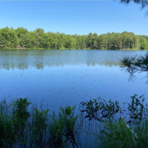 Assabet River National Wildlife Refuge
