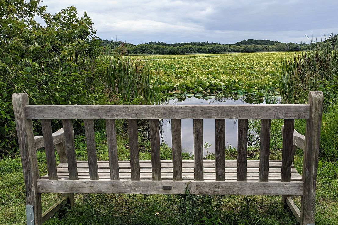 Visit Great Meadows NWR